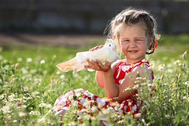 Similar image 21180527