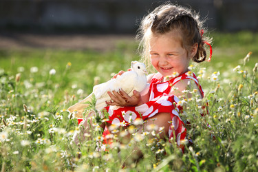 Similar image 21180528