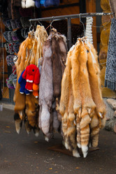 Similar image 21179466