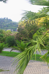 Similar image 21167738