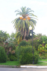 Similar image 21167739