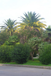 Similar image 21167740