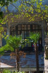 Similar image 21167742