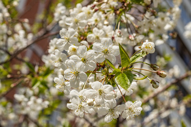 Similar image 21137822