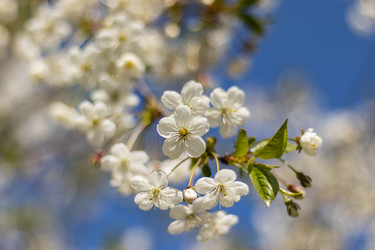 Similar image 21137823