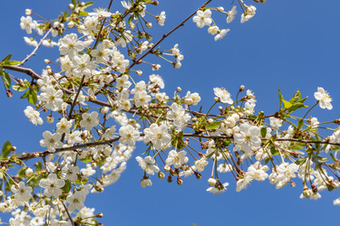 Similar image 21137824