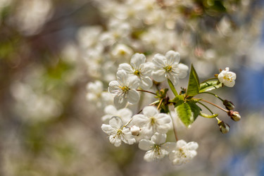 Similar image 21137825