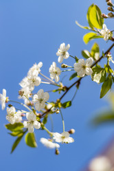 Similar image 21137826