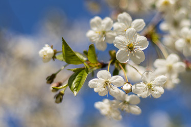 Similar image 21137829