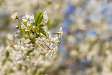 Similar image 21137830