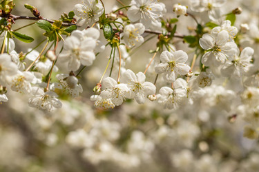 Similar image 21137832