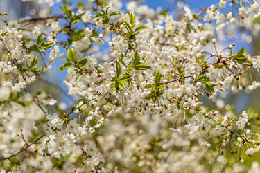 Similar image 21138003