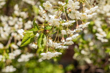 Similar image 21138005