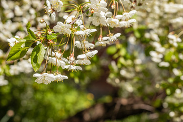 Similar image 21138006