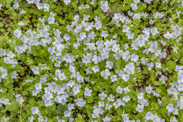 Similar image 21138007