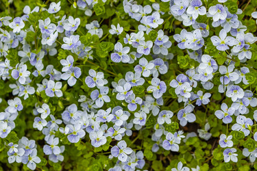 Similar image 21138008