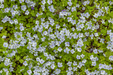 Similar image 21138010