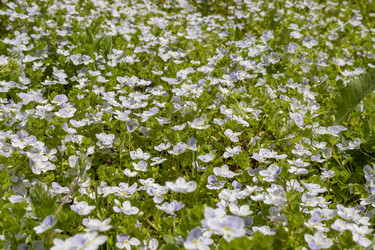 Similar image 21138011