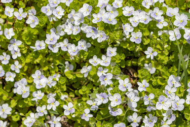 Similar image 21138012