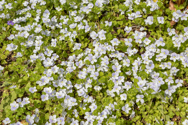 Similar image 21138013