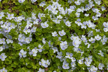 Similar image 21138014