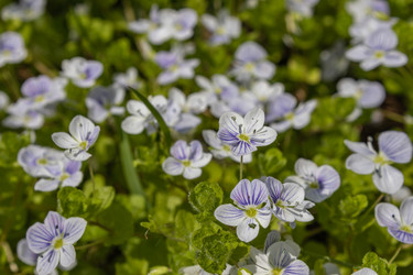 Similar image 21138015