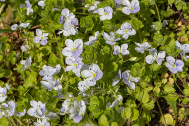 Similar image 21138016