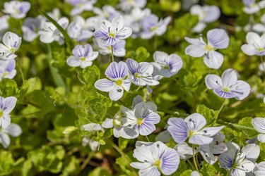 Similar image 21138017