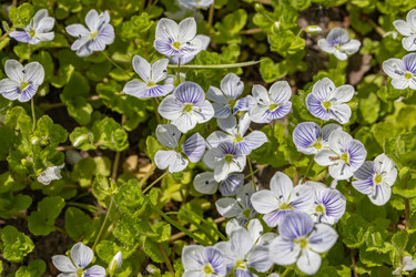 Similar image 21138018