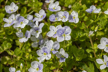 Similar image 21138019