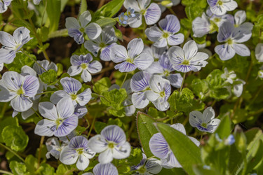 Similar image 21138020