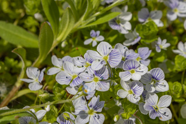 Similar image 21138021