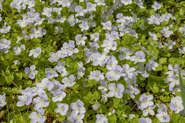 Similar image 21138022