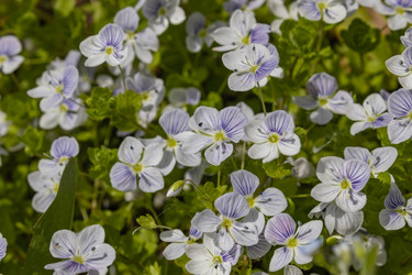 Similar image 21138023