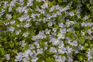 Similar image 21138024