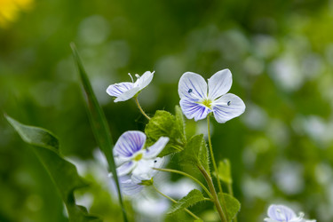 Similar image 21138025