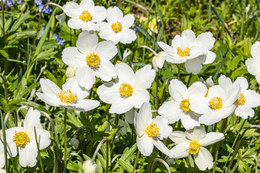 Similar image 21138026