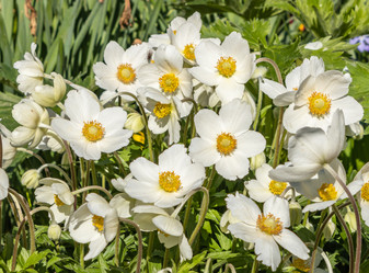 Similar image 21138027