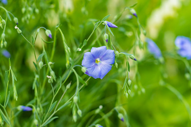 Similar image 21138031