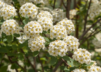 Similar image 21138032