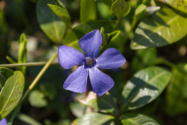 Similar image 21138034