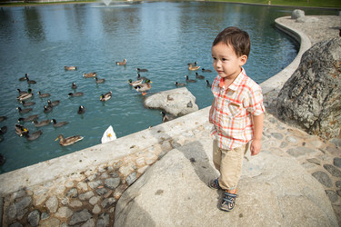 Similar image 21136648