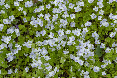 Similar image 21135610