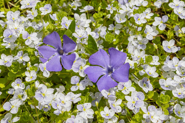 Similar image 21135611