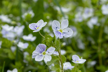 Similar image 21135612