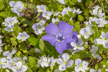 Similar image 21135613