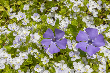 Similar image 21135614