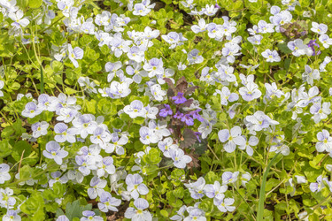 Similar image 21135616