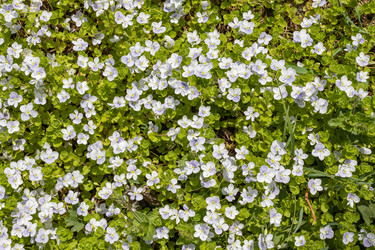 Similar image 21135617