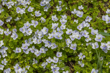 Similar image 21135618